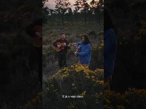 Vic Mirallas feat. MARO - tal vez (Videolyric)