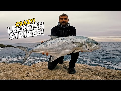 Crazy Leerfish Strikes | Shore Jigging