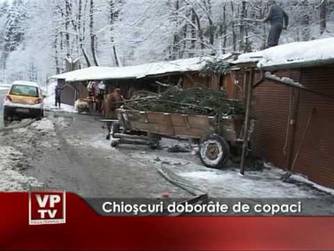 Chioşcuri doborâte de copaci