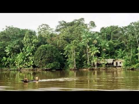 Путешествие в Джунгли Амазонки