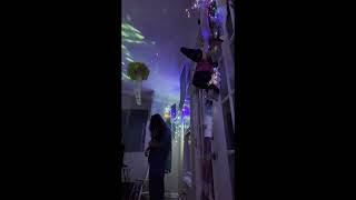 The Mushroom Is the Elf of Plants - Follow The Owl - Live at The JELLY RAVE