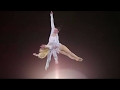 Aerial Duo Straps