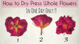 How to Dry & Press Rose Flowers Quickly / DIY Preserved Flowers / Dried flowers Art