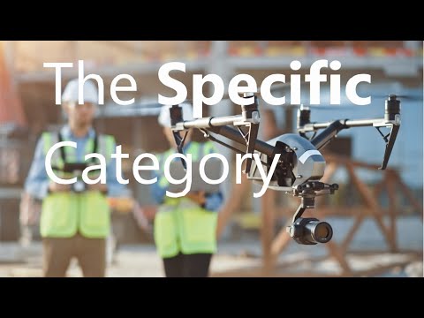 Introduction to the Specific Category | TDR