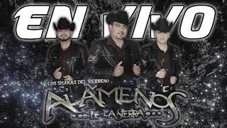 El Costal Lleno De Piedras (En Vivo) Lyrics English Translation