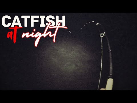 Spinning for the Catfish at Night