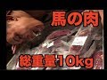 家に届いた馬肉の量がとんでもない量だったので馬肉で減量再開