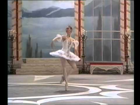 Grand Pas Classique - Vladimir Malakhov and Tatiana Paliy 1991.flv