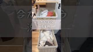 洗濯が終わらない5人育児の現実😂