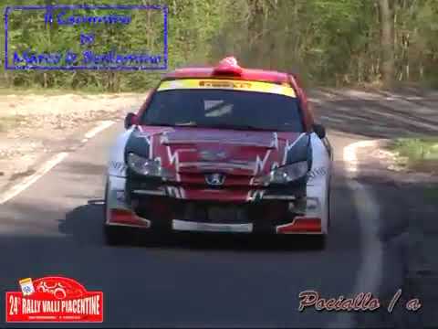 Peugeot 206 WRC Crash al rally Valli Piacentine / Scuderia ABS Sport