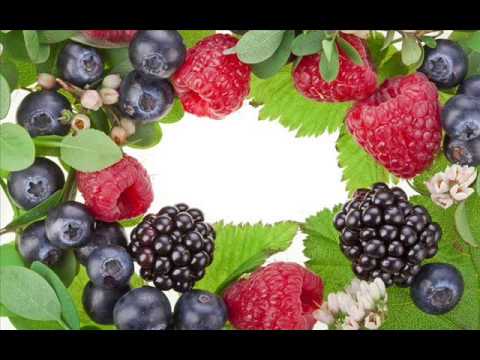 Марина Журавлева Малина