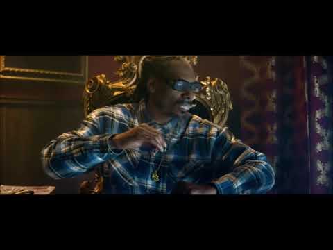 Snoop Dogg & Ice Cube - Run The Streets