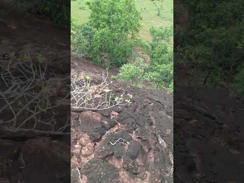 Domo de Araguainha MT #cratera #domo #shotrs #nature nature