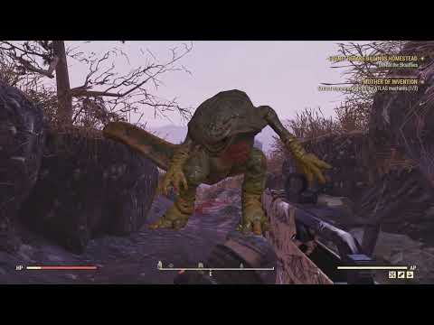 FALLOUT 76 FASTEST WAY HOW TO TAME A PET FOR YOUR CAMP