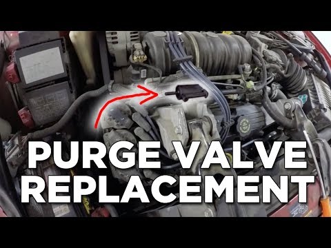 How To Install EVAP Purge Valve 3.8L Monte Carlo SS