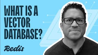 What is a Vector Database? Explained Simply with Real-World Examples