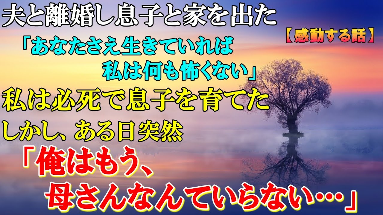 Download 63 感動する話 夫と離婚し息子と