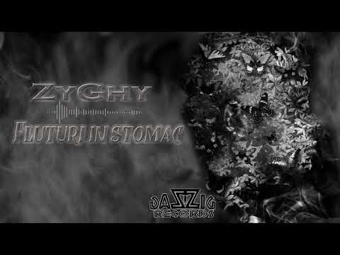 ZyGhy - Fluturi in stomac (prod.  Beatowski)