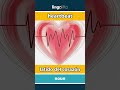 heartbeat - latido del corazón video thumbnail