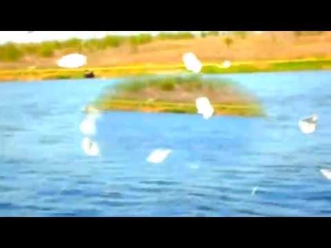 Alison Krauss & Yo Yo Ma SIMPLE GIFTS