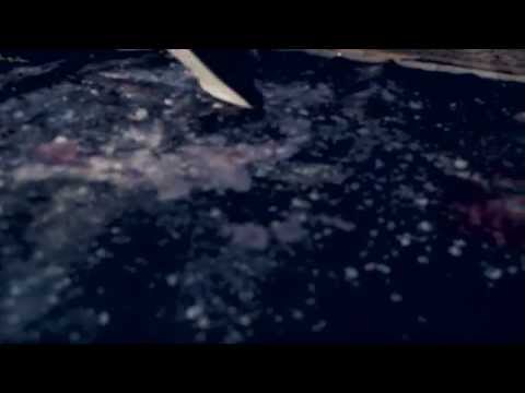 Vaadat Charigim - Hashiamum Shokea [Official Music Video]