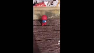 Cover art for When the imposter is sus