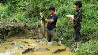 Download lagu A lucky day catching fish in the swamp: Pao and Ha brought home a huge haul of fish mp3