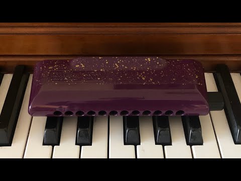 Chromatic Harmonica - Daily Exercise
