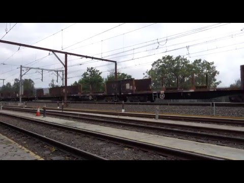 Quad NR's with 2NY3 - 25/1/16