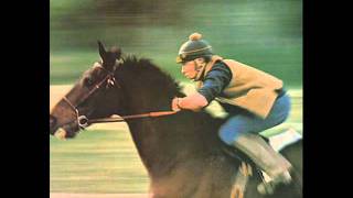 STEPHEN STILL THOROUGHFARE GAP