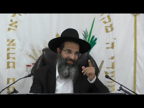 סוכת שלום 🕊 הרב שי עובד | שלישי - שבת סוכות - תשפה