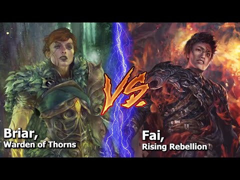 Can the Phoenix Topple a Mountain!?! - Briar Vs Fai