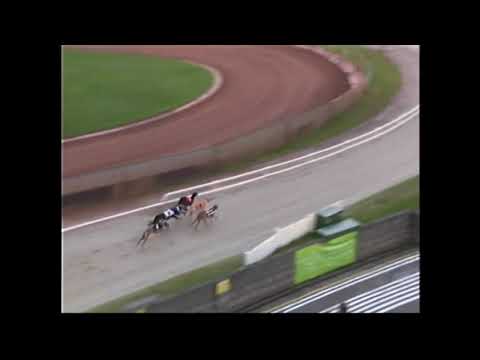 Saturday 14/08/2021 Race 6 Ladbrokes Gold Cup Semi Final 3