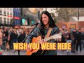 A Voice So PURE This Rendition Of Wish You Were Here Will Give You GOOSEBUMPS Pink Floyd