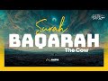Surah Al Baqarah (The Cow) | Full Recitation | Nasser Al Qatami | سورة البقرة 🇵🇸