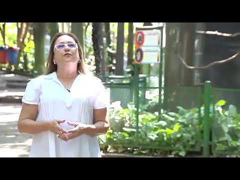 Saúde e bem estar : Terapia Florestal 21/12/2018