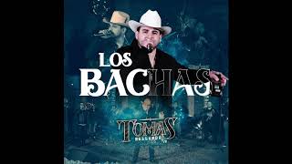 Los Bachas Lyrics English Translation