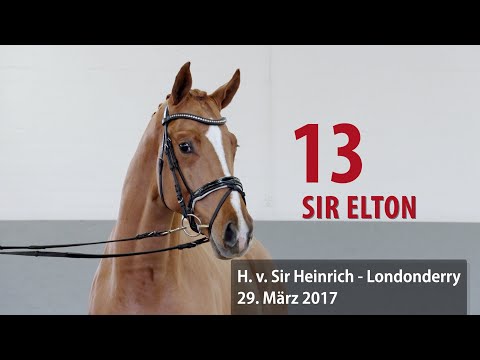 13 Sir Elton Hengst v. Sir Heinrich - Londonderry