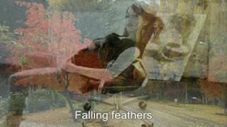 Kidney Thieves &quot;Feathers&quot;(Lyrics)