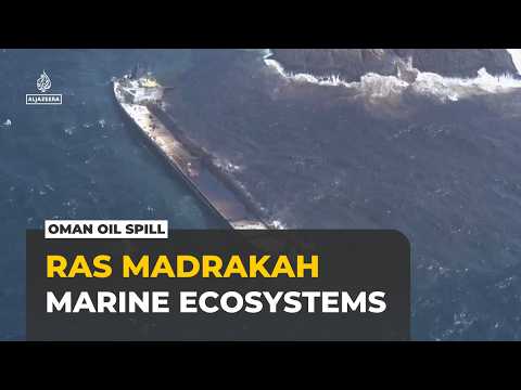 Oman oil spill threatens fragile marine ecosystem along 12km of coastline