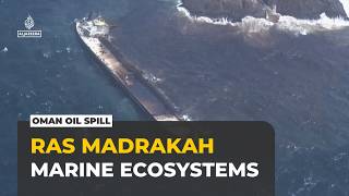 Oman oil spill threatens fragile marine ecosystem along 12km of coastline
