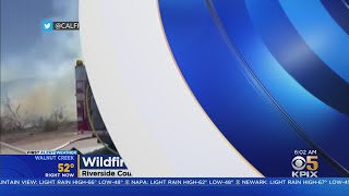 Video: 84-Year-Old Daly City Man Attacked From Behind Outside Home