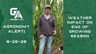 Agronomy Alert! 8-25-25