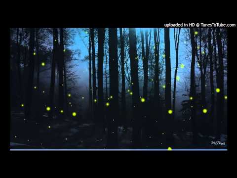 Firefly video thumbnail