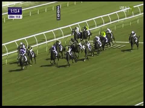 Randwick race 4 April 6 2019    Noble Boy