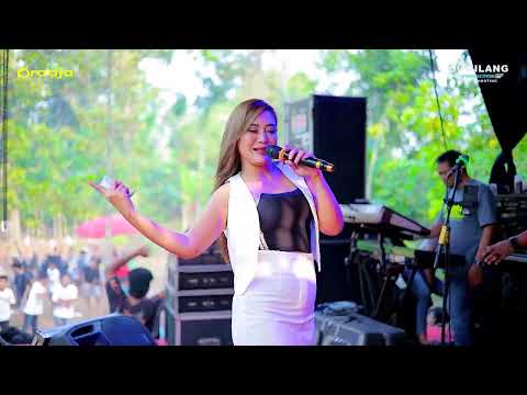 D'RADJA PASTI AJA - JUJUR - EVIS RENATA - PARTY RANDU ALAZ - RAGUKLAMPITAN BATEALIT JEPARA