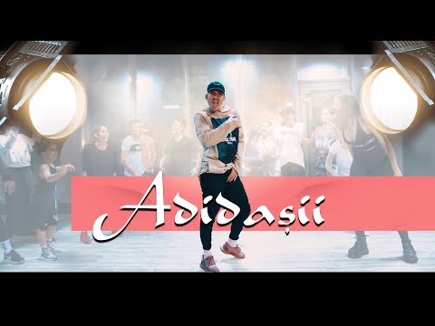 EMIL RENGLE: ADIDASII - SATRA BENZ