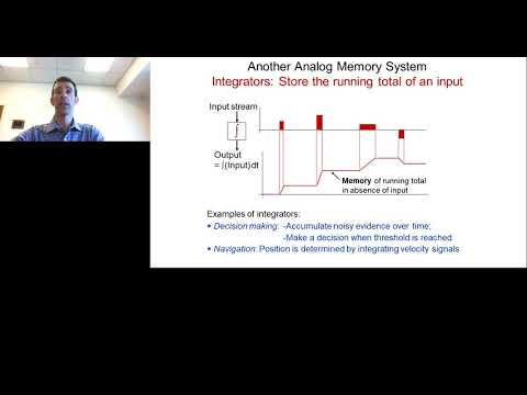 Cracking a Neural Circuit's Function Through High-Resolution Physiology..