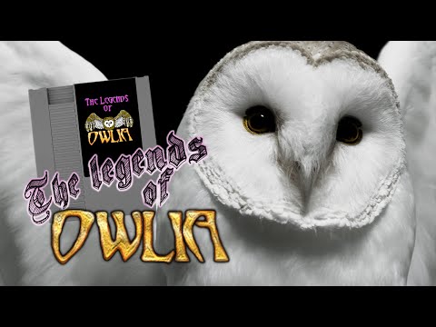 Daria Reviews The Legends of Owlia - A New NES Homebrew Adventure Game