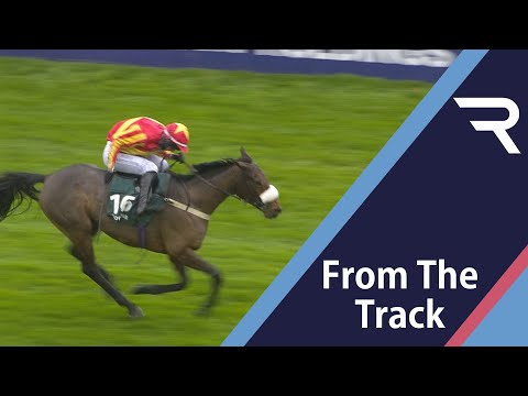 WHAT A BRAVE PERFORMANCE from Coole Cody! All the way in the Paddy Power Gold Cup - Racing TV